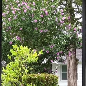 Meet your Posher, Armandoymarisela